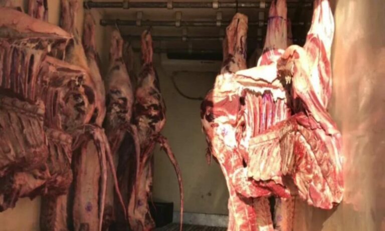 No Acre, criminosos rendem motorista e roubam caminhão carregado com carne
