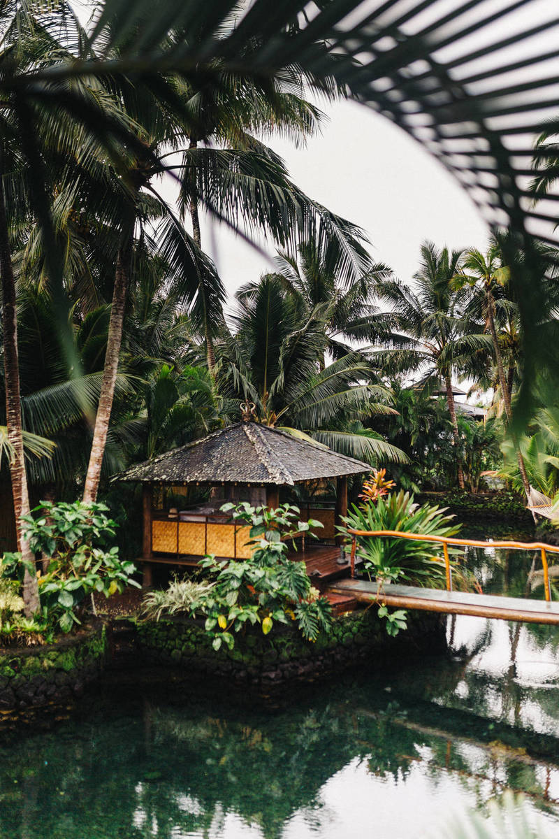 redd-f-3mWxKnqET3E-unsplash