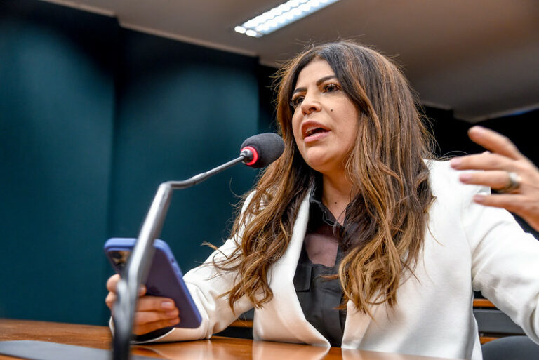 Deputada Antônia Lúcia protocolou 8 Projetos de Lei alinhados às Frentes Parlamentares que coordena