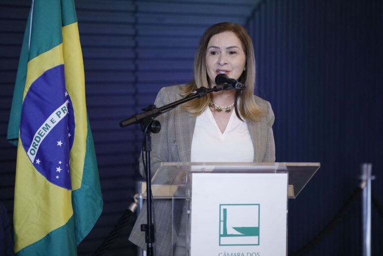 Socorro Neri defende uso de emendas individuais em emergências naturais como a que está ocorrendo no RS