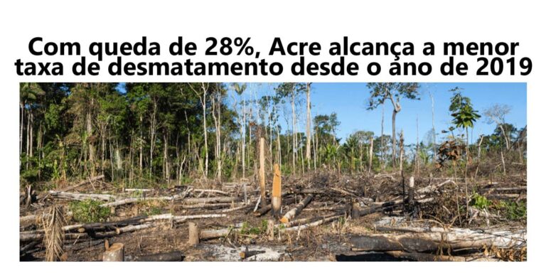 Com queda de 28%, Acre alcança a menor taxa de desmatamento desde 2019