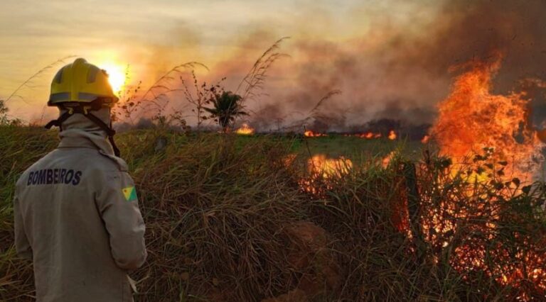 Rio Branco registra mais de 300 ocorrências de queimadas nos primeiros 15 dias de julho