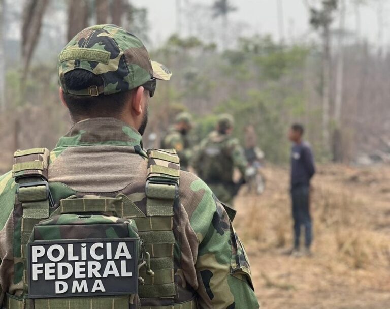 Polícia Federal intensifica ações de combate aos desmatamentos e queimadas ilegais no Acre