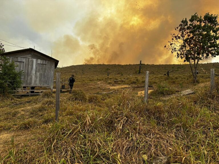 Dois homens são presos em flagrante por causar queimada de 8 hectares no interior do Acre