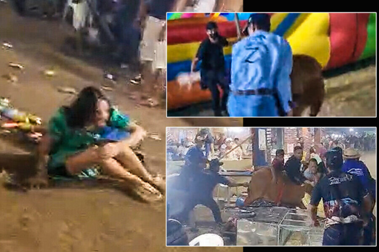 Boi foge, invade parque infantil e deixa ao menos um ferido na Expoacre