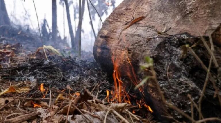 Mais de 20 pequenos produtores do Juruá são notificados por incêndios e alegam necessidade para sobrevivência