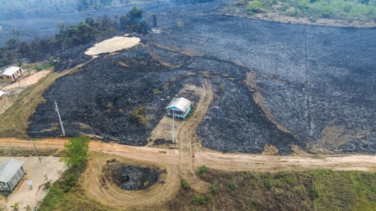 Incêndio de grandes proporções destrói 24 hectares em Mâncio Lima e ameaça 10 residências