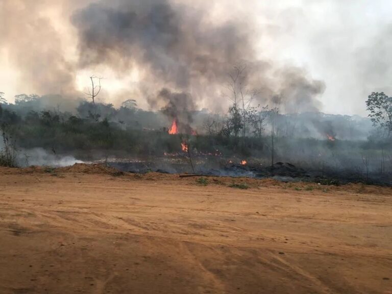 Incêndio atinge área de mata próximo ao Deracre em Cruzeiro do Sul