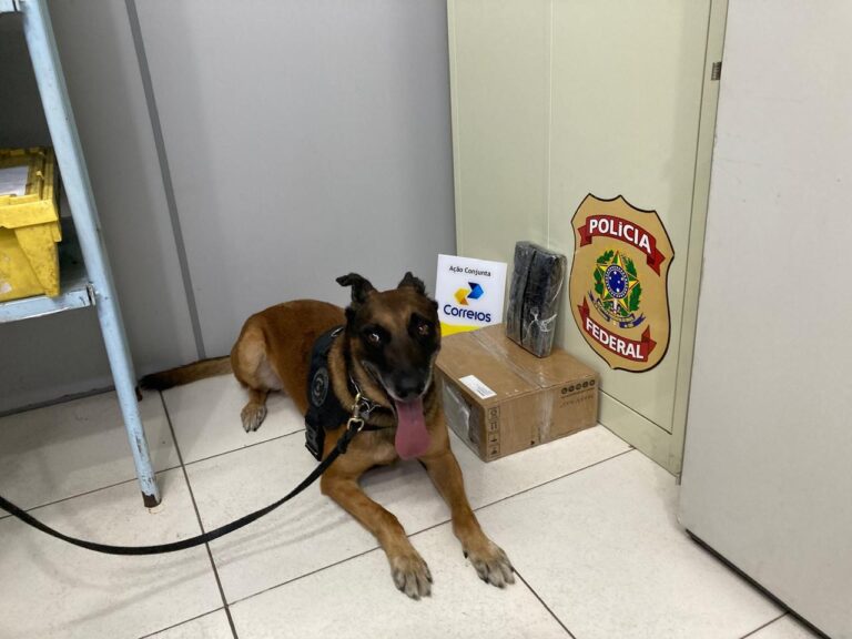Polícia Federal apreende droga que seria transportada pelo Correios, no Acre