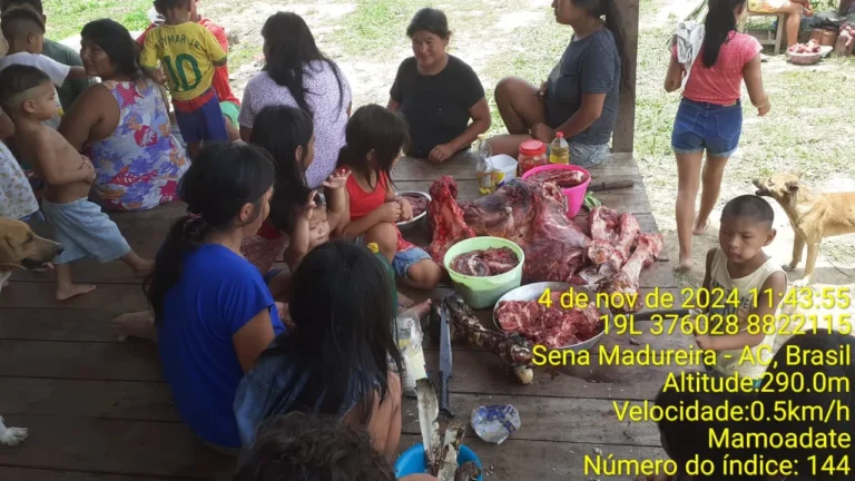 Indígenas isolados saqueiam aldeia no Acre e povo Manxineru teme conflito com mortes