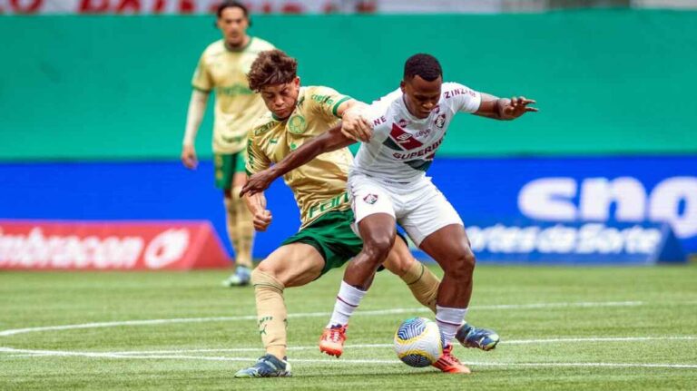Fluminense bate o Palmeiras e se livra do rebaixamento no Brasileirão; time paulista fica com vice-campeonato