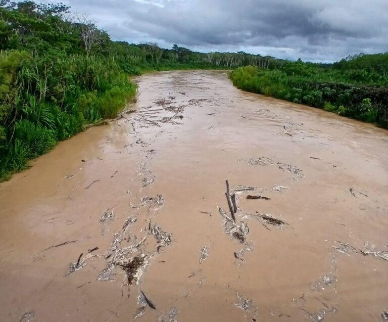 Nível do Rio Acre sobe mais de 6 metros em 24 horas e alerta para transbordamento em Assis Brasil
