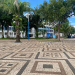 3D57E272-1FF6-46B7-884A-5BF8C17B54A5