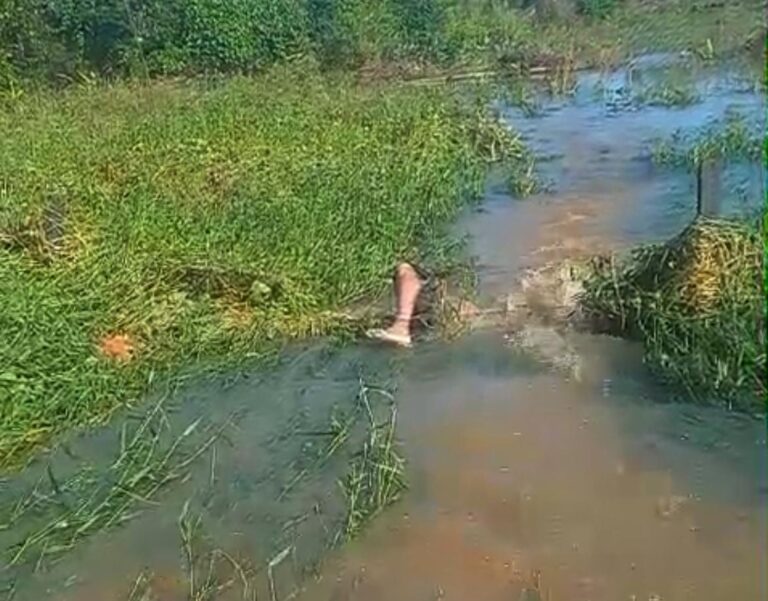 Corpo é encontrado em igarapé na zona rural do Bujari, próximo à BR-364