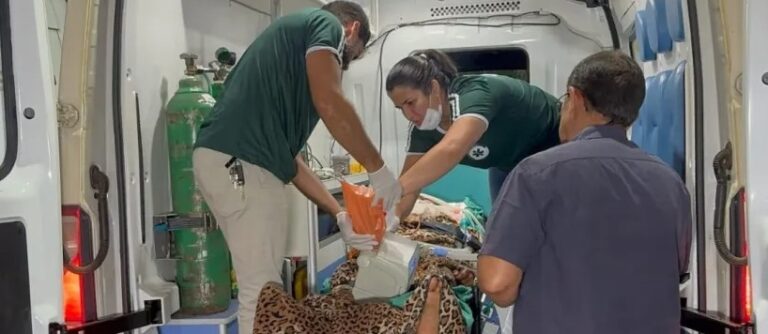 Homem fica gravemente ferido após ser atropelado na Transacreana