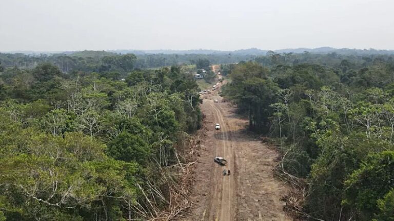 MPF recomenda que licenciamento da estrada de Porto Walter a Rodrigues Alves seja refeito e inclua consulta aos indígenas