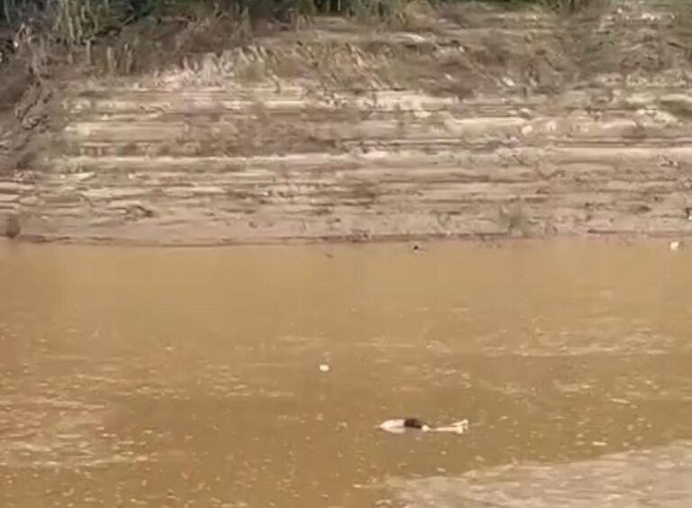 Corpo é encontrado boiando no Rio Acre; vítima pode ser homem baleado na Ponte Metálica