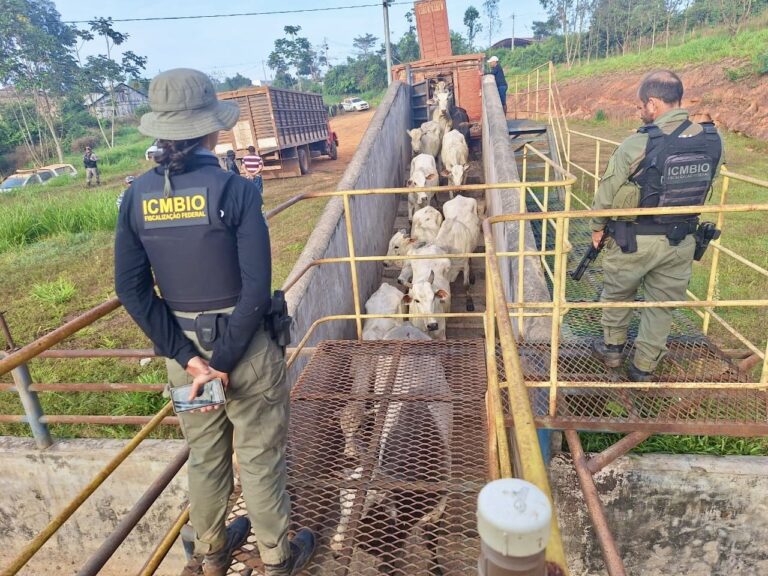 ICMBio denuncia ações criminosas contra a fiscalização na Reserva Extrativista Chico Mendes