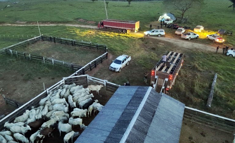 Roubo de gado e ameaça de morte a dono de frigorífico: ICMBio denuncia “ação criminosa” no Acre