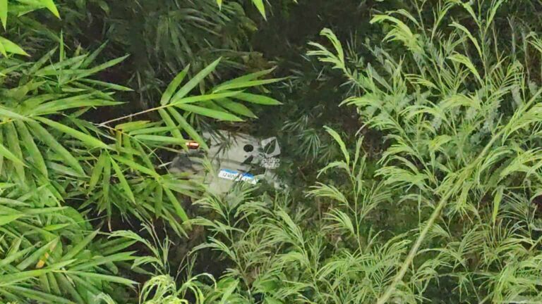 Motorista perde controle de carro e cai em ribanceira ao lado de ponte, em Rio Branco