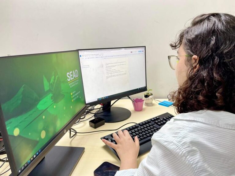Governo abre seleção para estagiários de nível médio e superior na capital