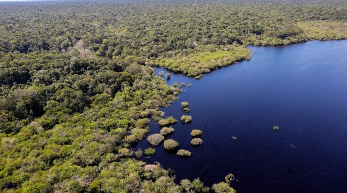 Fundo Amazônia bate recorde ao destinar mais de R$ 1 bilhão em 2025