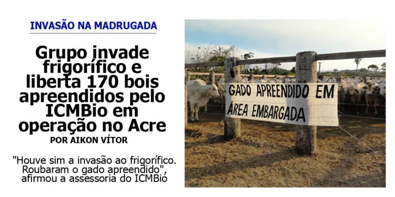 Grupo invade frigorífico e liberta 170 bois apreendidos pelo ICMBio em operação no Acre