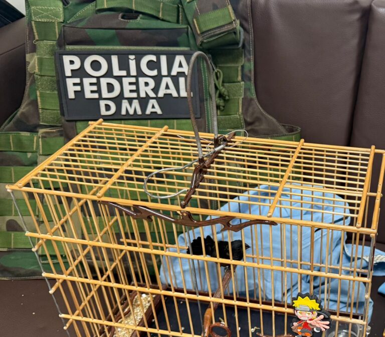 Polícia Federal prende homem por comércio ilegal de aves silvestres no Acre