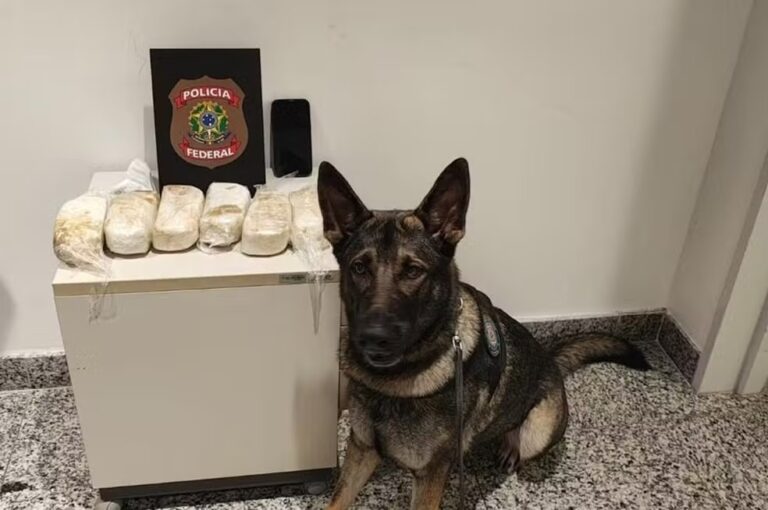 Polícia Federal prende acreano por tráfico de droga ao desembarcar em Recife