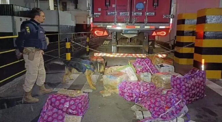 Carreta que saiu de Rio Branco com carne é usada para transportar 400 kg de maconha e é interceptada em MG