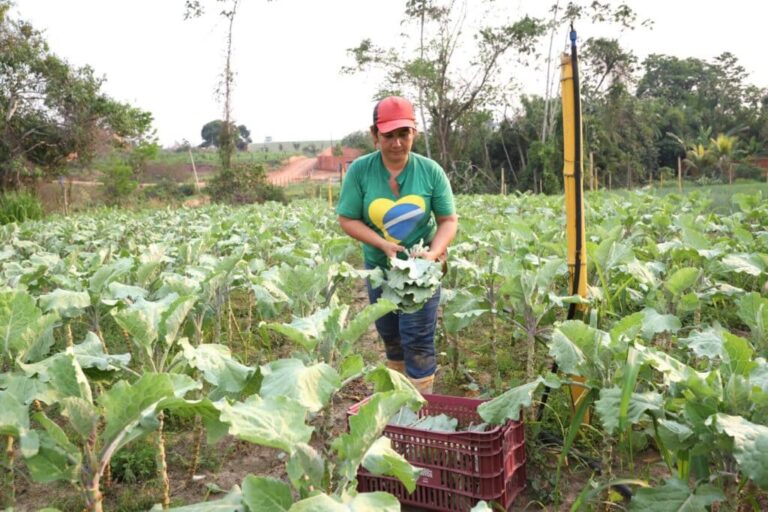 Sena Madureira institui comissão para credenciamento de agricultores familiares