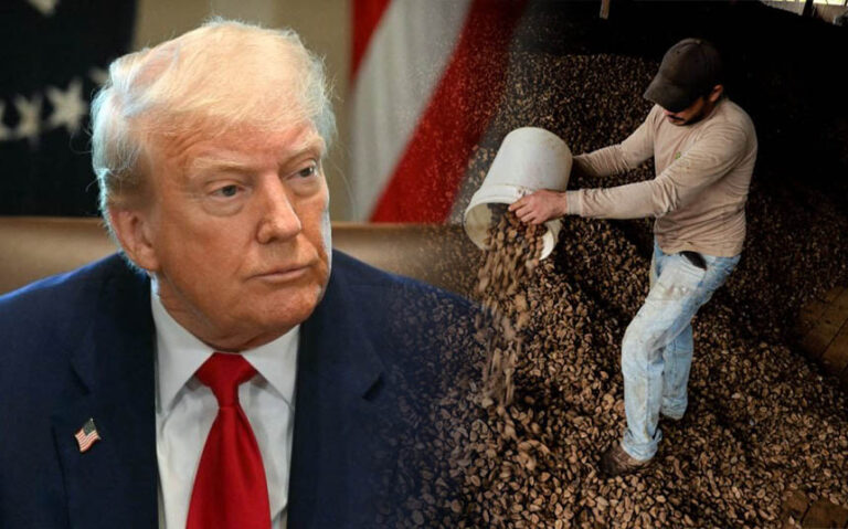 Decreto do presidente Trump afeta comércio de castanha e madeira no Acre