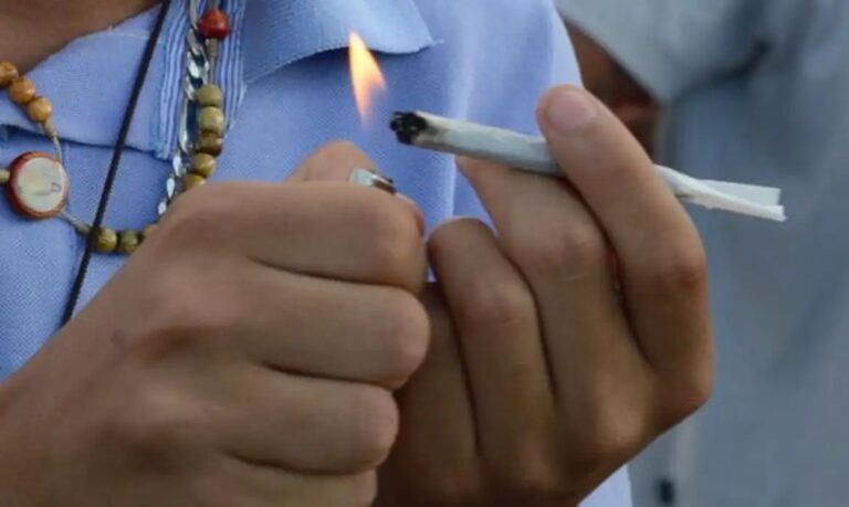 Tribunais começam mutirão para analisar porte de maconha para uso pessoal