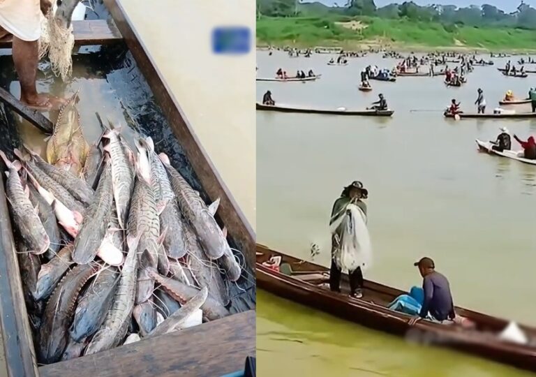 Vereador diz que pesca predatória em Boca do Acre não deixa peixes subirem para rios acreanos