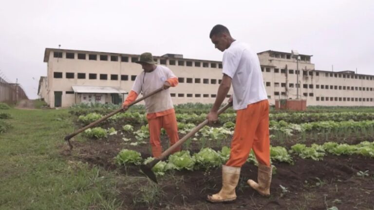 Acre é o 3º estado com maior número de presos trabalhando no Brasil, mostra estudo