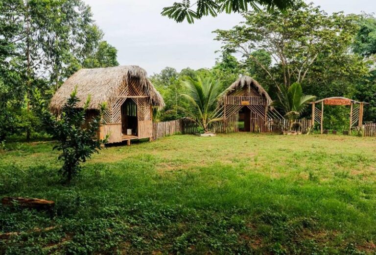 Censo aponta acesso limitado a saneamento básico na Reserva Extrativista Chico Mendes