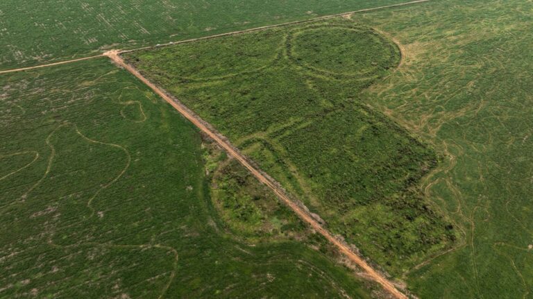 MPF entra com ação contra normas ambientais estaduais que ameaçam o patrimônio arqueológico no Acre