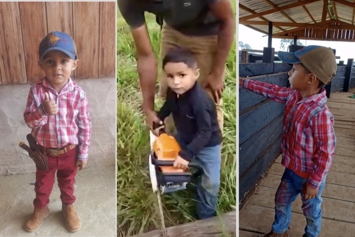 Com apenas 3 anos, “Erê Boiadeiro” encanta ao escolher a vida no campo: “Sou o menino da pecuária”