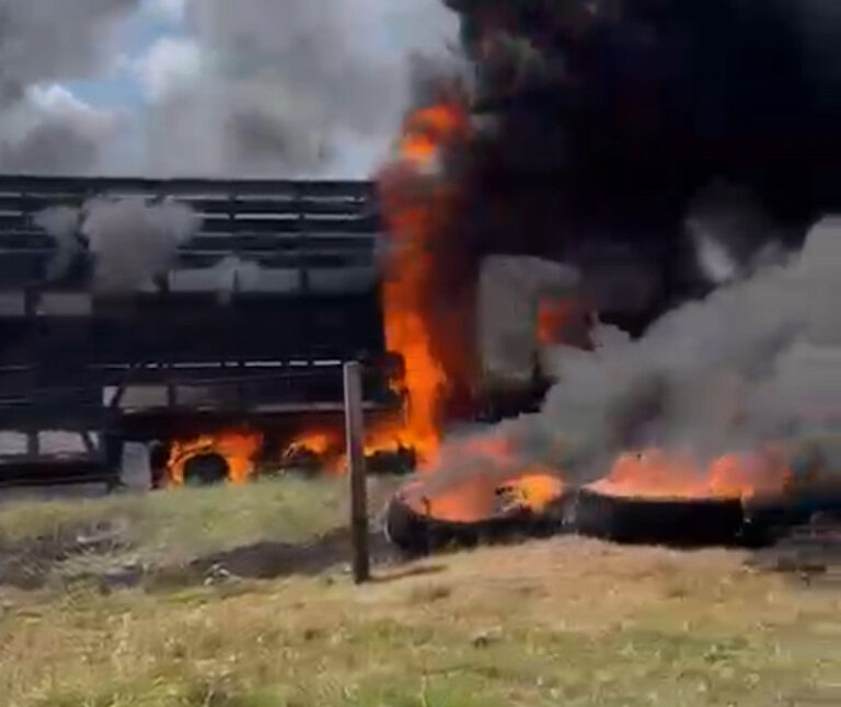 Carreta boiadeira fica completamente destruída após pegar fogo em ramal da zona rural de Rio Branco