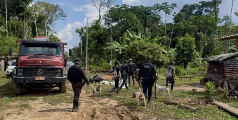 Três homens são presos em Cruzeiro do Sul por caça e desmatamento ilegal