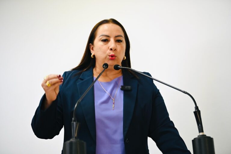 “Só se vê cadeiras vazias”, diz Elzinha sobre ausência de vereadores nas sessões