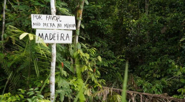 Grilagem de terras resulta em apenas 7% de condenações em decisões judiciais sobre terras na Amazônia