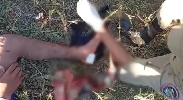 Homem é atacado por jacaré durante pescaria na zona rural de Sena Madureira