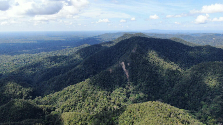Serra do Divisor: um santuário no coração da floresta