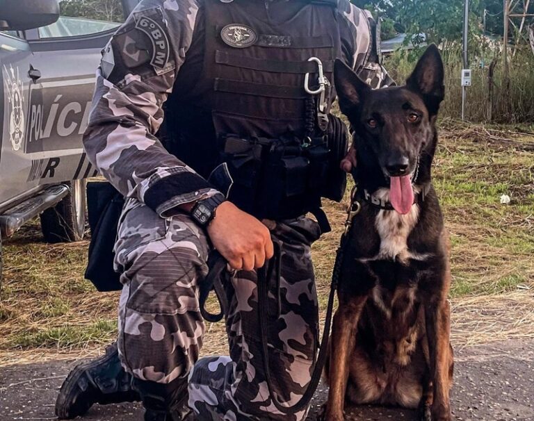Morre Tina, a primeira cão policial da região do Juruá