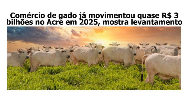 Comércio de gado já movimentou quase R$ 3 bilhões no Acre em 2025, mostra levantamento