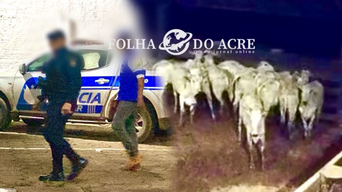 WhatsApp Image 2025-10-30 at 11.43.15