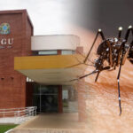 cgudengue