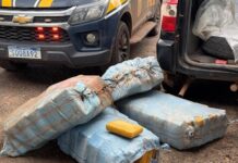 Polícia Civil e PRF apreendem mais de 230 kg de skunk durante operação na BR-364, no Acre