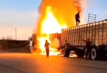 Carreta boiadeira pega fogo resultando na morte de vários animais no interior de Goiás